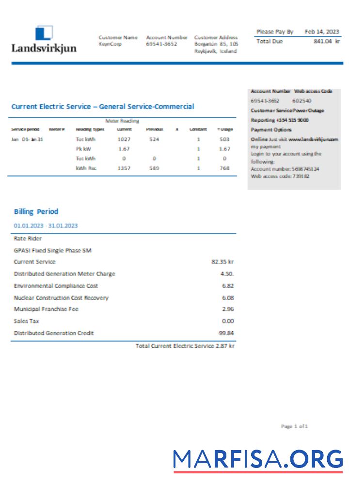 Blank The National Power Company of Iceland Landsvirkjun electricity utility business bill, SCR example